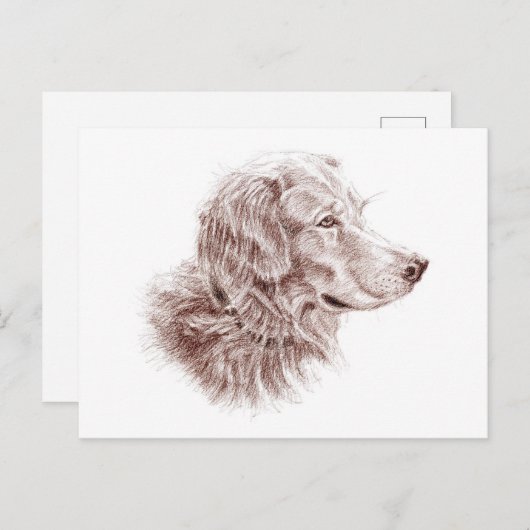 Golden Retriever Briefkaart (Voorkant / Achterkant)
