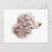 Golden Retriever Briefkaart (Voorkant)