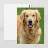 Golden Retriever Briefkaart (Voorkant / Achterkant)