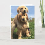 Golden Retriever Brothers Kaart<br><div class="desc">Golden Retrievers zijn liefdevolle, goed gemanneerde, slimme honden met een grote charme. Ze zijn gemakkelijk opgeleid en altijd geduldig en voorzichtig met kinderen. Charming, toegewijd en zelfverzekerd zijn ze een populaire familiehond. Golden Retrievers zijn enthousiast over hun meesters, dus gehoorzaamheidstraining kan zeer lonend zijn. Ze blinken uit in competities en...</div>