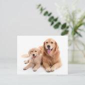 Golden Retriever Buddies Briefkaart (Staand voorkant)