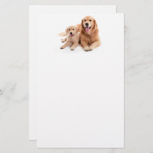 Golden Retriever Buddies Briefpapier (Voorkant / Achterkant)