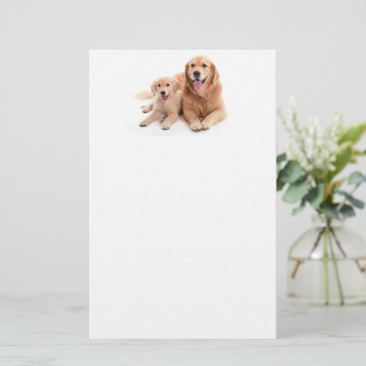 Golden Retriever Buddies Briefpapier (Staand voorkant)