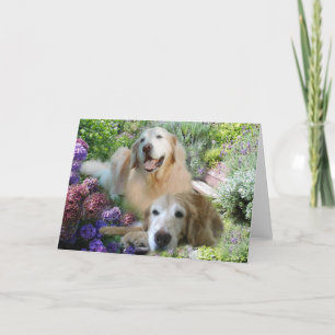 Golden Retriever Buddies Card Kaart