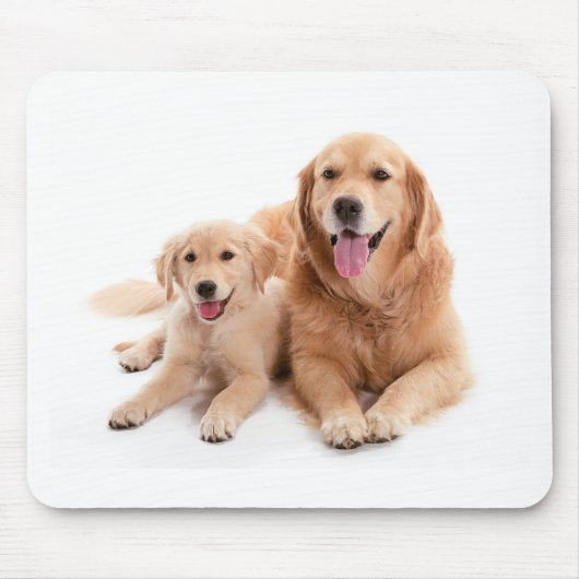 Golden Retriever Buddies Muismat (Voorkant)
