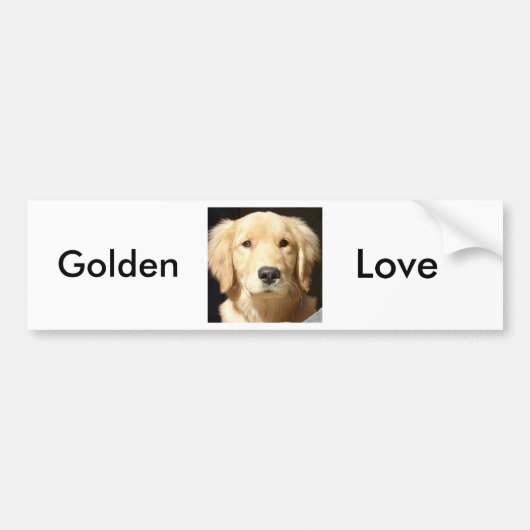 Golden Retriever Bumpersticker (Voorkant)