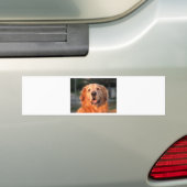 Golden Retriever Bumpersticker (Op auto)