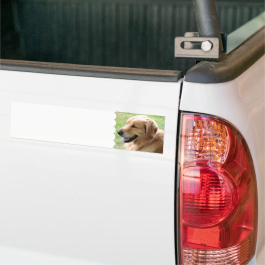 Golden Retriever Bumperstickers (Op Truck)