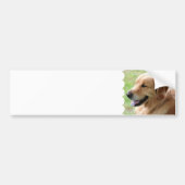 Golden Retriever Bumperstickers (Voorkant)
