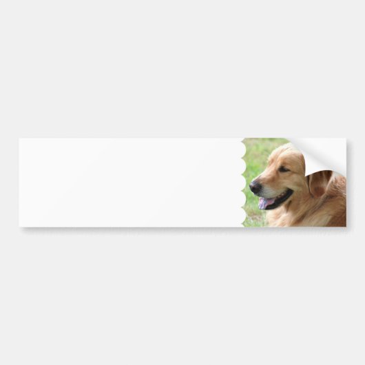 Golden Retriever Bumperstickers (Voorkant)