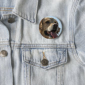 Golden Retriever Button (In situ)