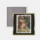 Golden Retriever Cadeaus Magneet (Voorkant / Achterkant)