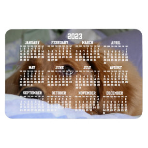 Golden Retriever Calendar 2023 Large Photo Magnet Magneet