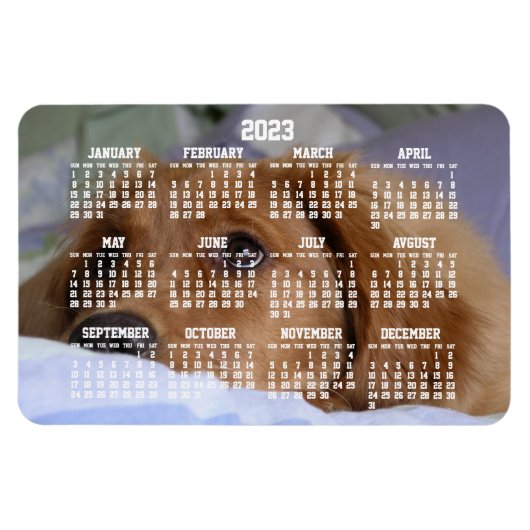 Golden Retriever Calendar 2023 Large Photo Magnet Magneet (Horizontaal)