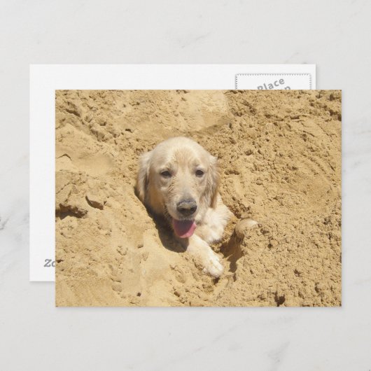 Golden Retriever Camouflage Briefkaart (Voorkant / Achterkant)