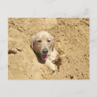 Golden Retriever Camouflage Briefkaart