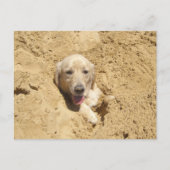 Golden Retriever Camouflage Briefkaart (Voorkant)