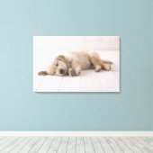 Golden Retriever Canvas Afdruk (Insitu (Houten vloer))