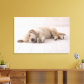 Golden Retriever Canvas Afdruk (Insitu (Woonkamer))