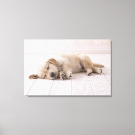 Golden Retriever Canvas Afdruk (Voorkant)