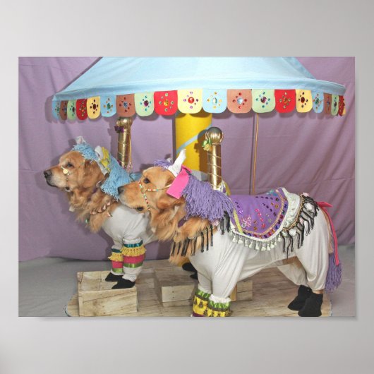 Golden Retriever Carousel Poster (Voorkant)