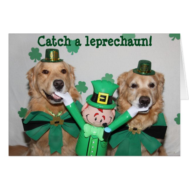 Golden Retriever Catch a Leprechaun (Voorkant Horizontaal)