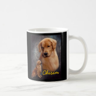 Golden Retriever Chisim Mok