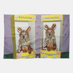 Golden Retriever Chocolate Rabbits in dozen Theedoek