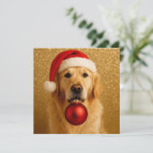 Golden Retriever Christmas Card. Feestdagenkaart (Staand voorkant)