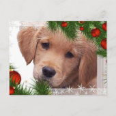 Golden Retriever Christmas Card - Puppy Cute Dog Feestdagenkaart (Voorkant)