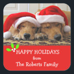 Golden Retriever Christmas Dreams Aangepaste naam Vierkante Sticker<br><div class="desc">Deze stickers hebben een foto van een Golden Retriever-hond en -puppy,  die op een tapijt slapen terwijl ze een kerstmuts dragen. Voeg jouw namen en aangepaste bericht toe!</div>