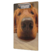Golden Retriever Clipboard Klembord (Links)