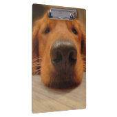 Golden Retriever Clipboard Klembord (Rechts)