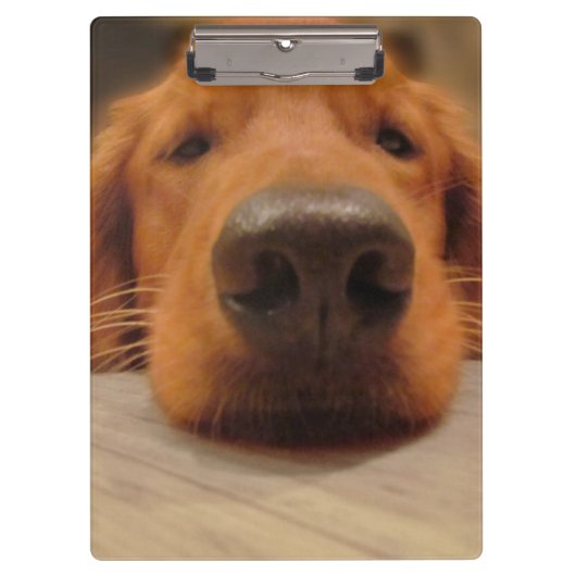 Golden Retriever Clipboard Klembord (Voorkant)