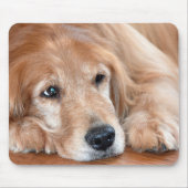 Golden Retriever Closeup Muismat (Voorkant)