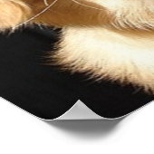 Golden Retriever Closeup Poster (Hoek)