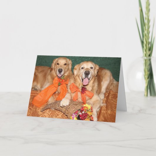 Golden Retriever Cornucopia-Thanksgiving Feestdagen Kaart (Voorkant)