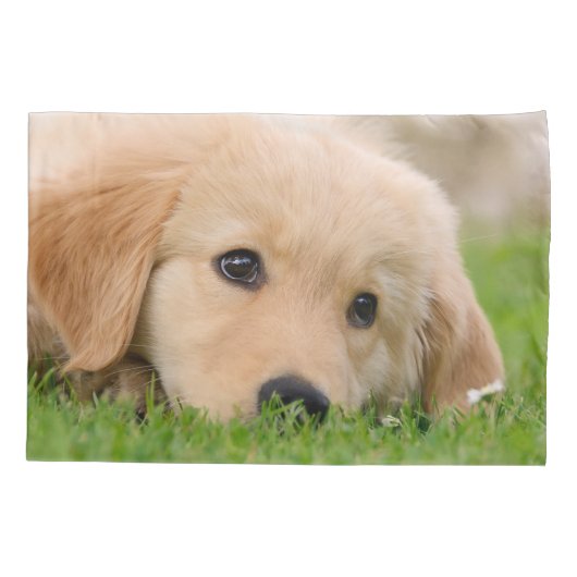 Golden Retriever Cute Dog Puppy Dream Pillow-Hoesj Kussensloop (Achterkant)