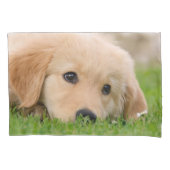 Golden Retriever Cute Dog Puppy Dream Pillow-Hoesj Kussensloop (Voorkant)