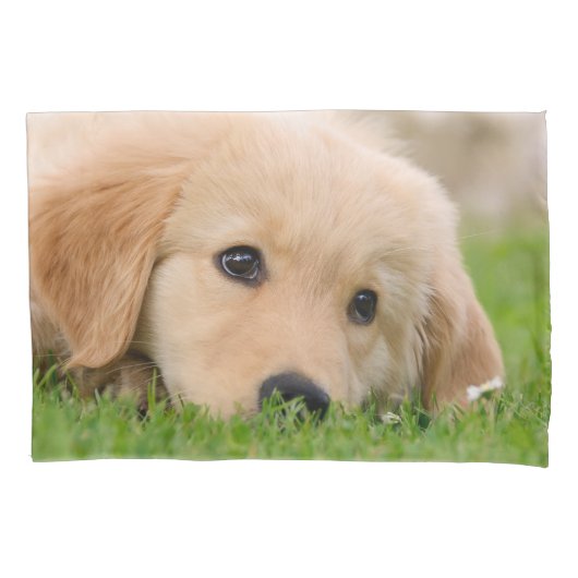 Golden Retriever Cute Dog Puppy Dream Pillow-Hoesj Kussensloop (Voorkant)