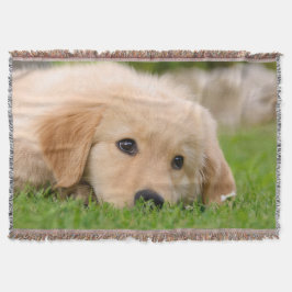 Golden Retriever Cute Dog Puppy Dreaming, zacht Deken