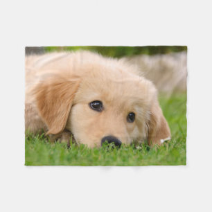 Golden Retriever Cute Puppy Dreaming, comfortabel Fleece Deken