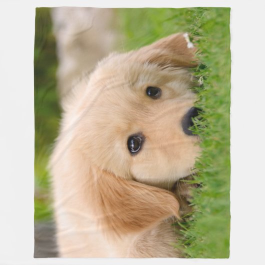 Golden Retriever Cute Puppy Dreaming Dog Portret Fleece Deken (Voorkant)