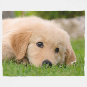 Golden Retriever Cute Puppy Dreaming Dog Portret Fleece Deken