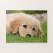 Golden Retriever Cute Puppy Dreaming, game 11x14 Legpuzzel (Horizontaal)