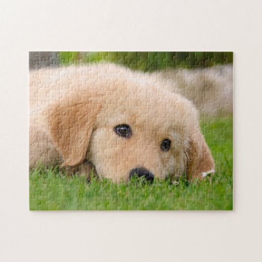 Golden Retriever Cute Puppy Dreaming, game 11x14 Legpuzzel (Horizontaal)