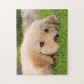 Golden Retriever Cute Puppy Dreaming, game 11x14 Legpuzzel (Verticaal)