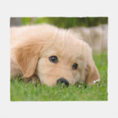 Golden Retriever Cute Puppy Dreaming, grappig Fleece Deken (Voorkant (Horizontaal))