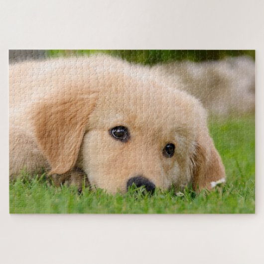 Golden Retriever Cute Puppy Dreaming Legpuzzel (Horizontaal)