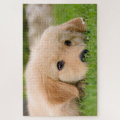 Golden Retriever Cute Puppy Dreaming Legpuzzel (Verticaal)